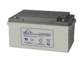Leoch LPG 12-65